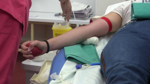 Над 20 души дариха безвъзмездно кръв след подета от русенец инициатива