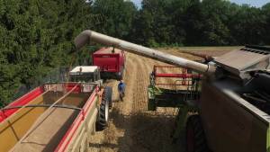 Български зърнопроизводители заплашват да протестират и в Брюксел