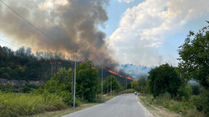 ВИДЕО и ПОДРОБНОСТИ: Огромен пожар бушува в Русе, горят километри сухи треви и борова гора