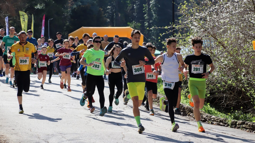 Над 300 участници се включиха в маратона &quot;Prista RUN 2024&quot;