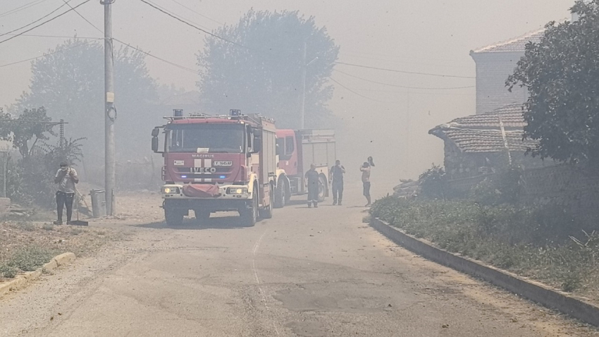 ВИДЕО: Парламентът отпусна средства за последствията от пожарите в страната