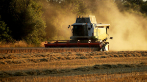 "Зърнарите" настояват за среща с премиера заради драстичното поскъпване на торовете