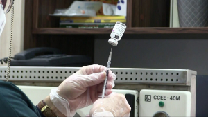 Ваксинацията срещу COVID-19 при общопрактикуващите лекари в Русе върви бавно