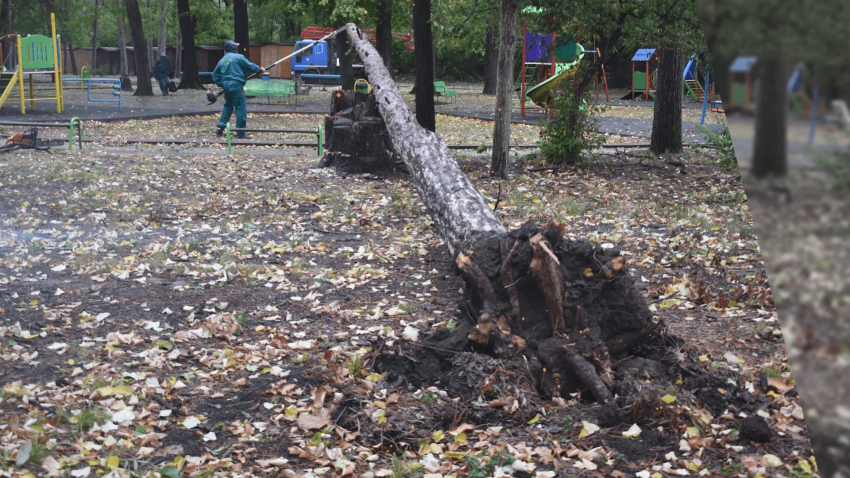 Силният вятър нанесе щети в Разград и населени места на общината