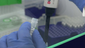 Натоварването в лабораториите за PCR тестове също се увеличава