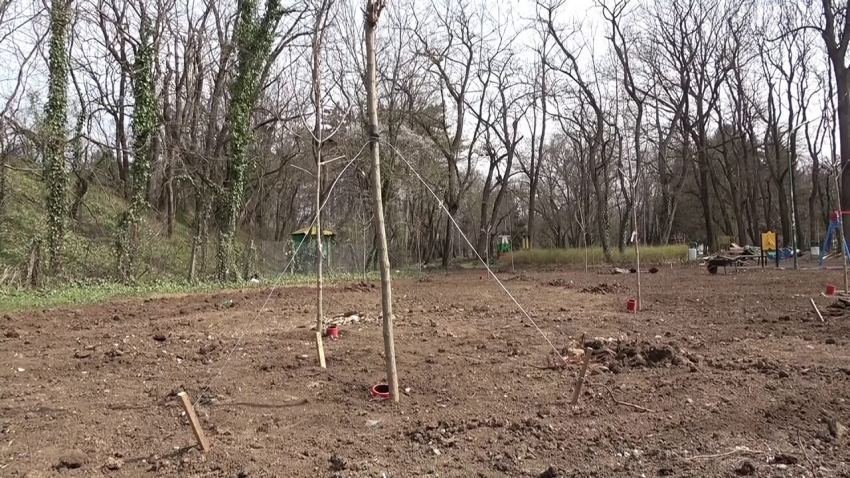 Продължава подготовката за обновяването на растителността в Градския парк на Разград