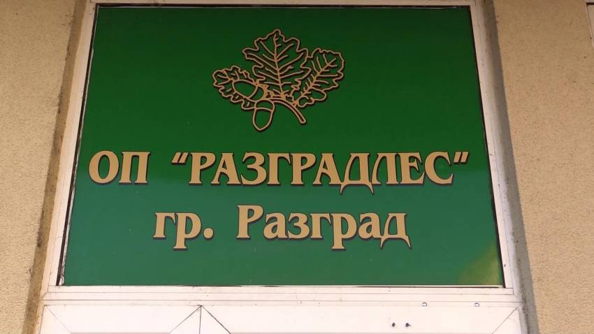 Предлагат Община Разград да предостави дървесина от своя фонд на общински структури и социални групи