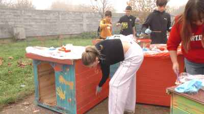 ВИДЕО: Деца боядисваха къщички за кучетата в общинския приют в Търговище