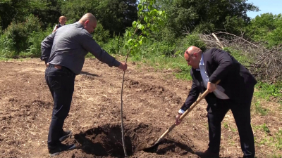 ВИДЕО: "Разградлес" отбеляза 20 години от създаването си със засаждане на дръвчета
