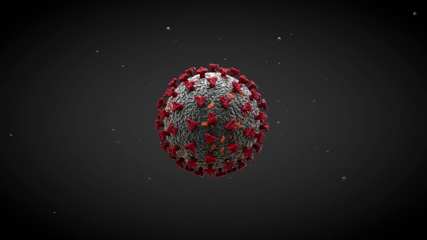 По 4 новозаразени и 1 починал от COVID-19 установиха в Разградско и Търговищко