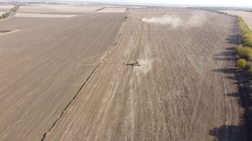 Сушата пречи на зърнопроизводителите в Русенско да извършат есенната сеитба
