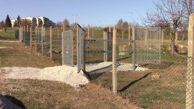 ВИДЕО: До няколко седмици в Разград отваря нова площадка за свободно пуснати кучета