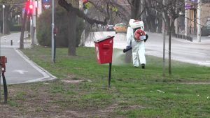 ВИДЕО: Пръскането срещу насекоми в Русе започва още в края на март?