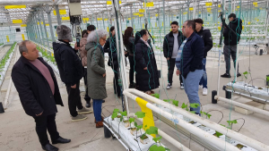 Продължава да се изпълняват обучителните сесии на партньорите по проект "Развитие на природосъобразни култури в окръзите Гюргево и Русе"