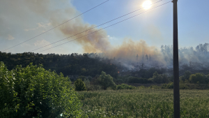 Пожарът край Русе вече е локализиран от три страни