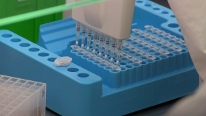Една от лабораториите в Русе отчита близо 40% положителни PCR тестове