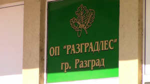 МВР и &quot;Разградлес&quot; продължават съвместните действия срещу незаконната сеч /ВИДЕО/