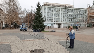 ВИДЕО: Украсяват Коледната елха в Търговище