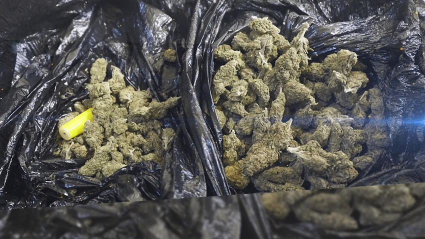 ВИДЕО: Разкриха схема за държане и разпространение на наркотици в Русе