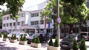 Болницата в Разград отправи призив да се върне открадната туя