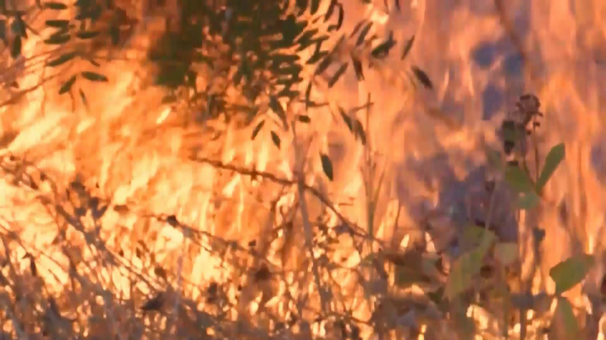 Пожар нанесе големи щети в дърводелски цех в Търговищко