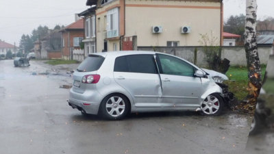 ВИДЕО: Холандец блъсна с колата си две дървета и обърна контейнер за смет в Разградско
