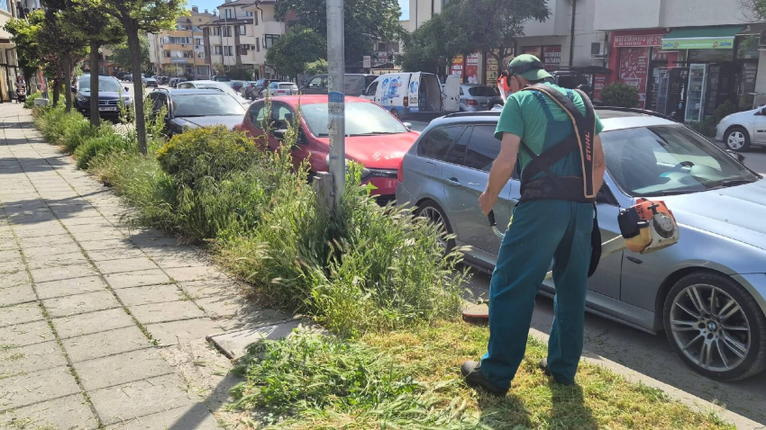 ВИДЕО: Косенето в Търговище продължава по график, Общината търси косачи за ОП "Флора"
