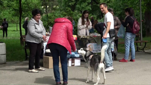 Русенец едва спаси кучето си заради хвърлена отрова в Парка на младежта