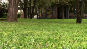 В община Разград започна обработката срещу кръжлежи на тревните площи и детските площадки
