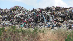 Наблюдават трайно увеличение на сепарираните отпадъци в Русе