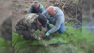 ВИДЕО: Общинското ръководство в Разград се включи в мащабна акция по залесяване