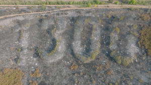 Започват процедури по възстановяването на изгорялата гора &quot;1300 години България&quot; край Бяла