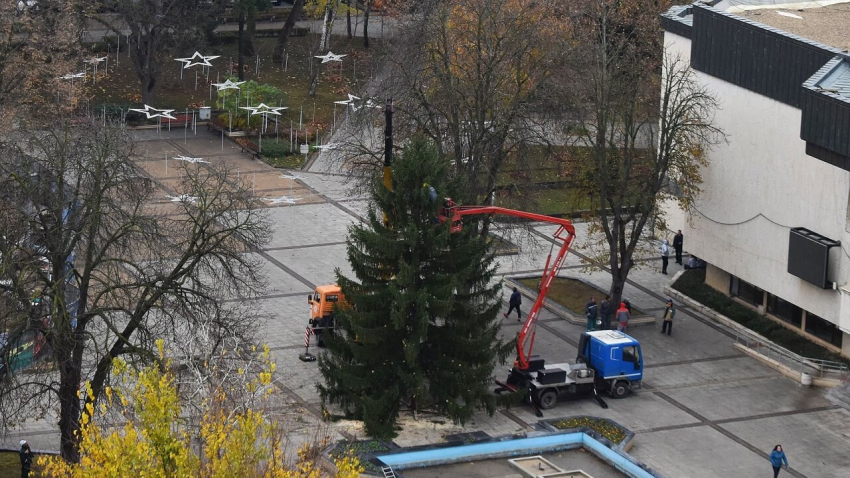 ВИДЕО: Поставиха коледната елха в центъра на Разград